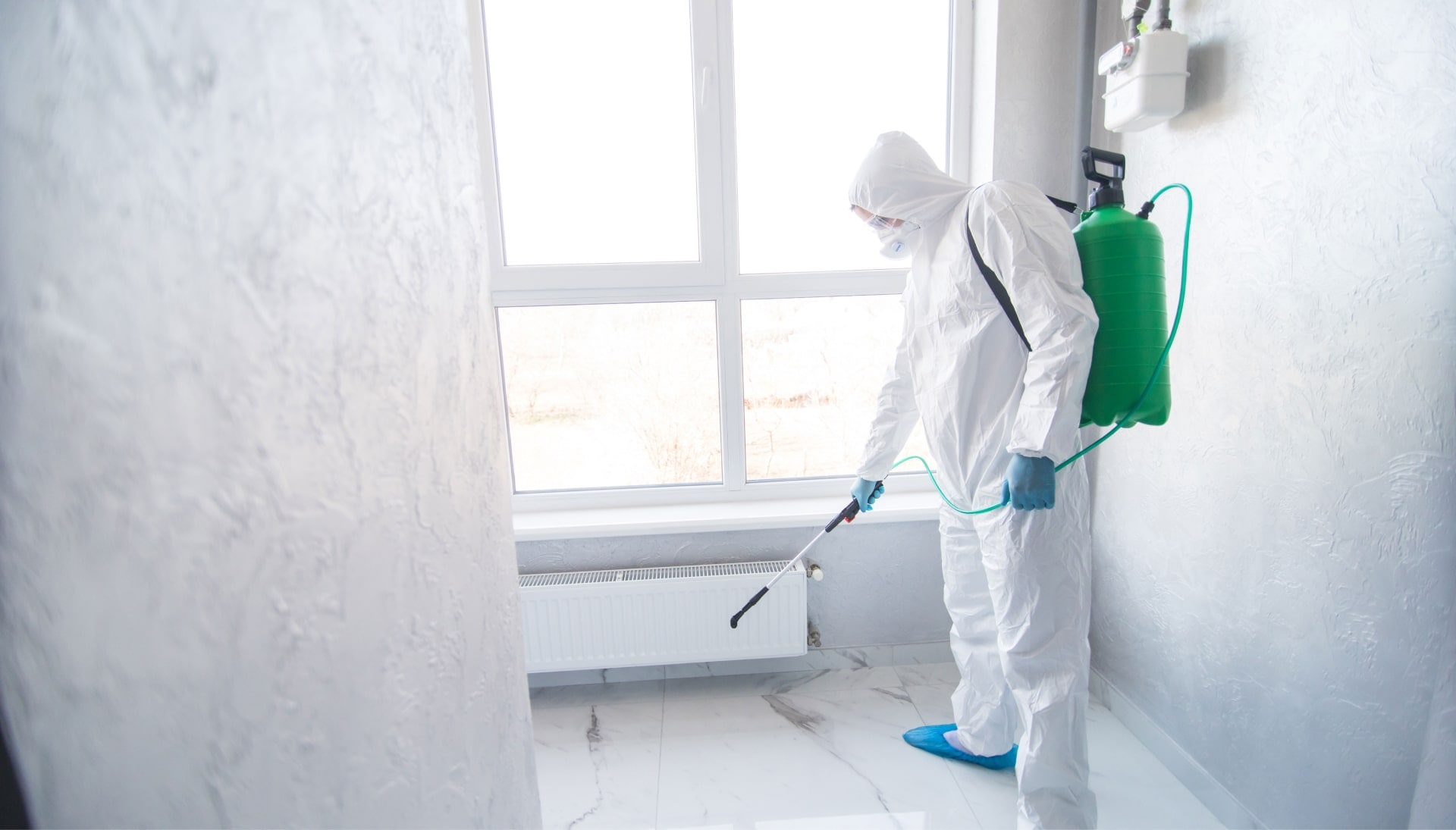 Mold Inspection Services in Knoxville